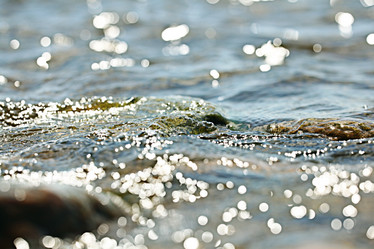 Similar image 10497463