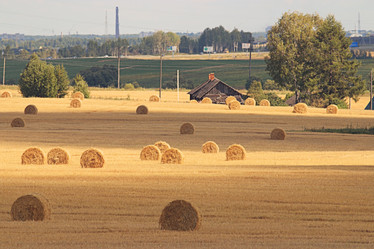 Similar image 10497465