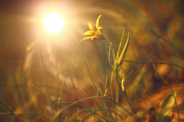 Similar image 10497466