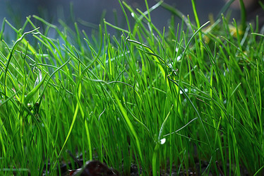 Similar image 10497468