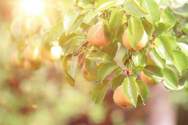 Similar image 10497469