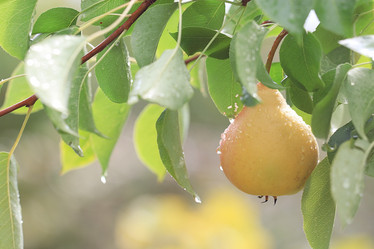 Similar image 10497470