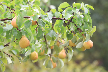 Similar image 10497471