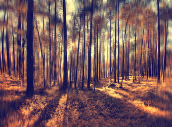 Similar image 10497473