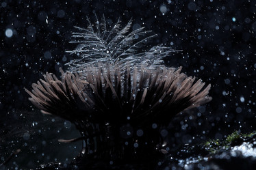 Similar image 10497478