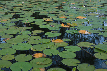 Similar image 10497479