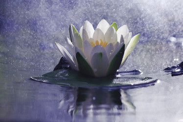 Similar image 10497480