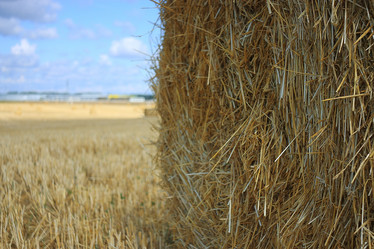 Similar image 10497481