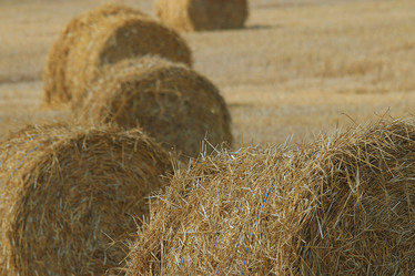 Similar image 10497482