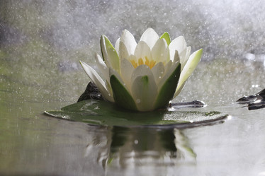 Similar image 10497484