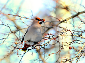 Similar image 10497486