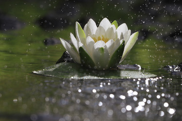 Similar image 10497489