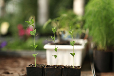 Similar image 10497488