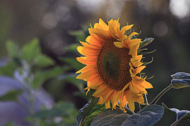 Similar image 10497495