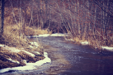 Similar image 10497497