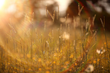 Similar image 10497499