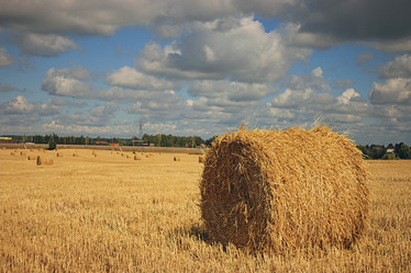 Similar image 10497500