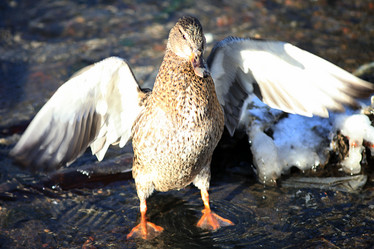 Similar image 10497501