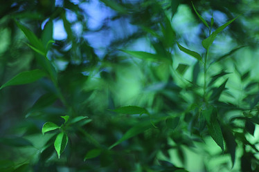 Similar image 10497507