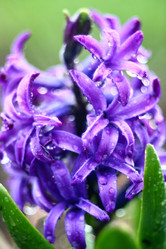 Similar image 10497510