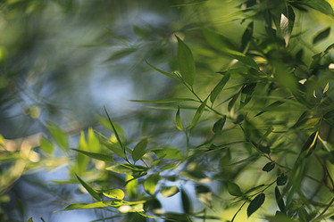 Similar image 10497509