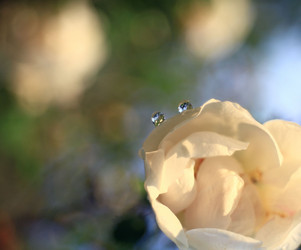 Similar image 10497511