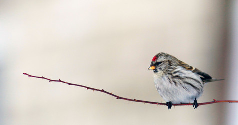 Similar image 10497517