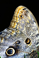 Similar image 10497520