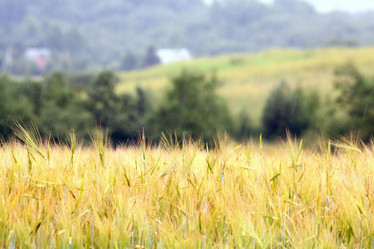 Similar image 10497526