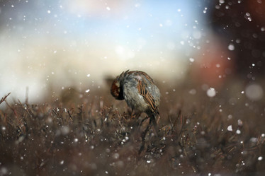 Similar image 10497527