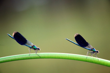 Similar image 10497529