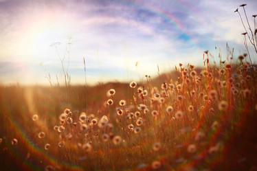 Similar image 10497533