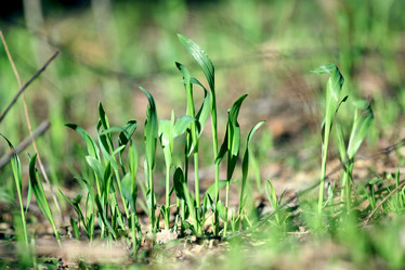 Similar image 10497536