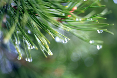 Similar image 10497539