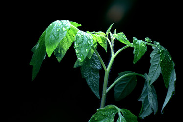 Similar image 10497540