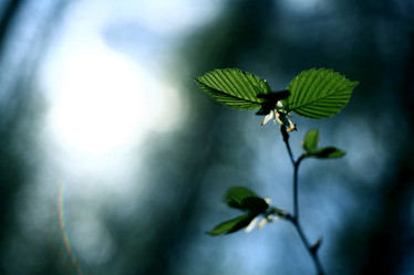 Similar image 10497541