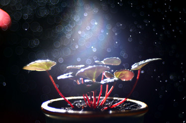 Similar image 10497543