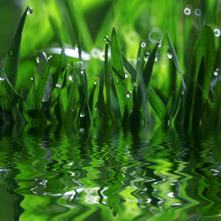 Similar image 10497549