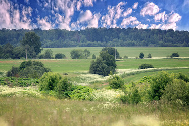 Similar image 10497550