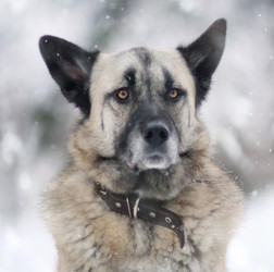 Similar image 10497551