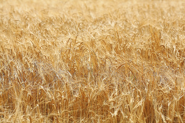 Similar image 10497566