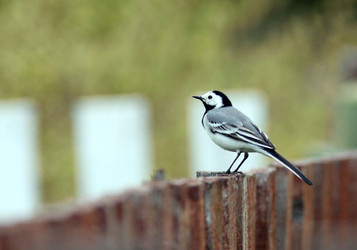 Similar image 10497579