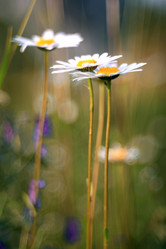 Similar image 10497581