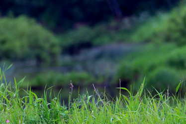 Similar image 10497583