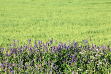 Similar image 10497587