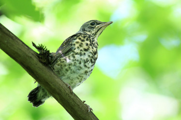 Similar image 10497588