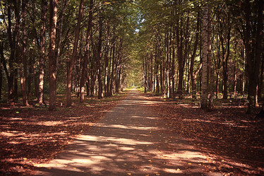 Similar image 10497599