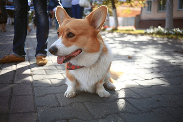 Similar image 10497601