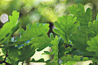 Similar image 10497609