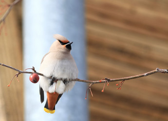 Similar image 10497614